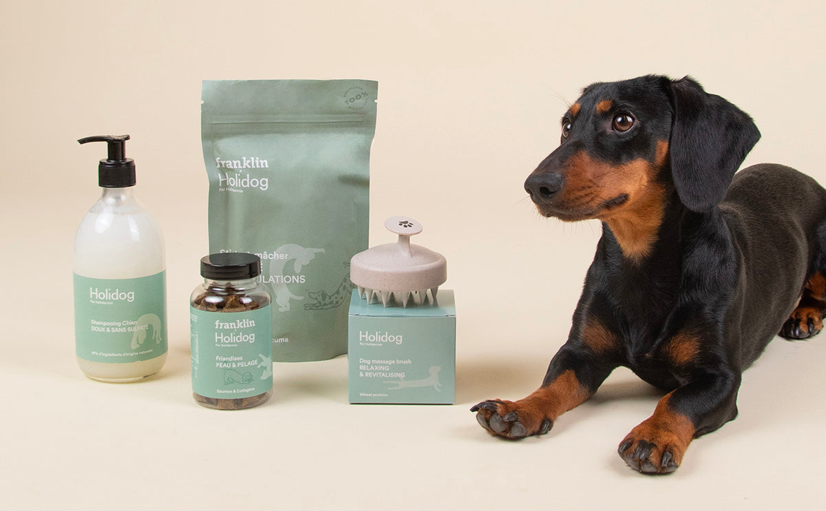 Franklin Alimentation premium pour chien et chat. Choisissez la meilleure nourriture pour votre animal : Croquettes sans céréales riches en protéines et faibles en glucides. Découvrez notre large gamme de pâtées et de friandises riches en viande !