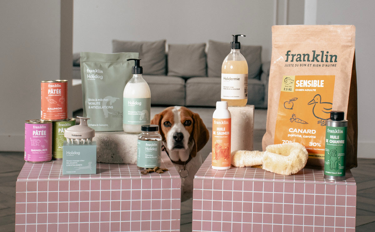 Franklin Alimentation premium pour chien et chat. Choisissez la meilleure nourriture pour votre animal : Croquettes sans céréales riches en protéines et faibles en glucides. Découvrez notre large gamme de pâtées et de friandises riches en viande !