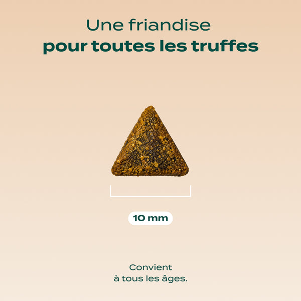 bouchees-ensorcelees-saumon-citrouille