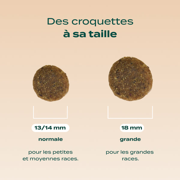 poulet-courge-myrtille