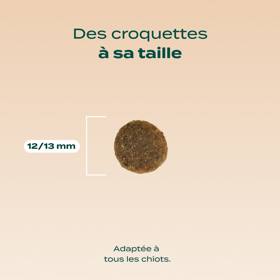 DINDE, TRUITE, PATATE DOUCE