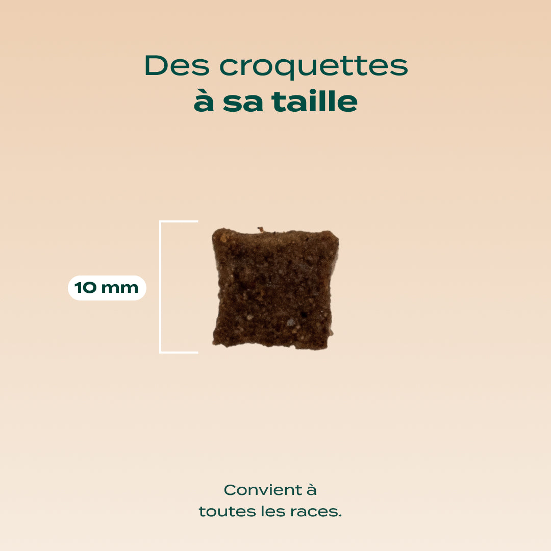 AGNEAU, DINDE, VALÉRIANE