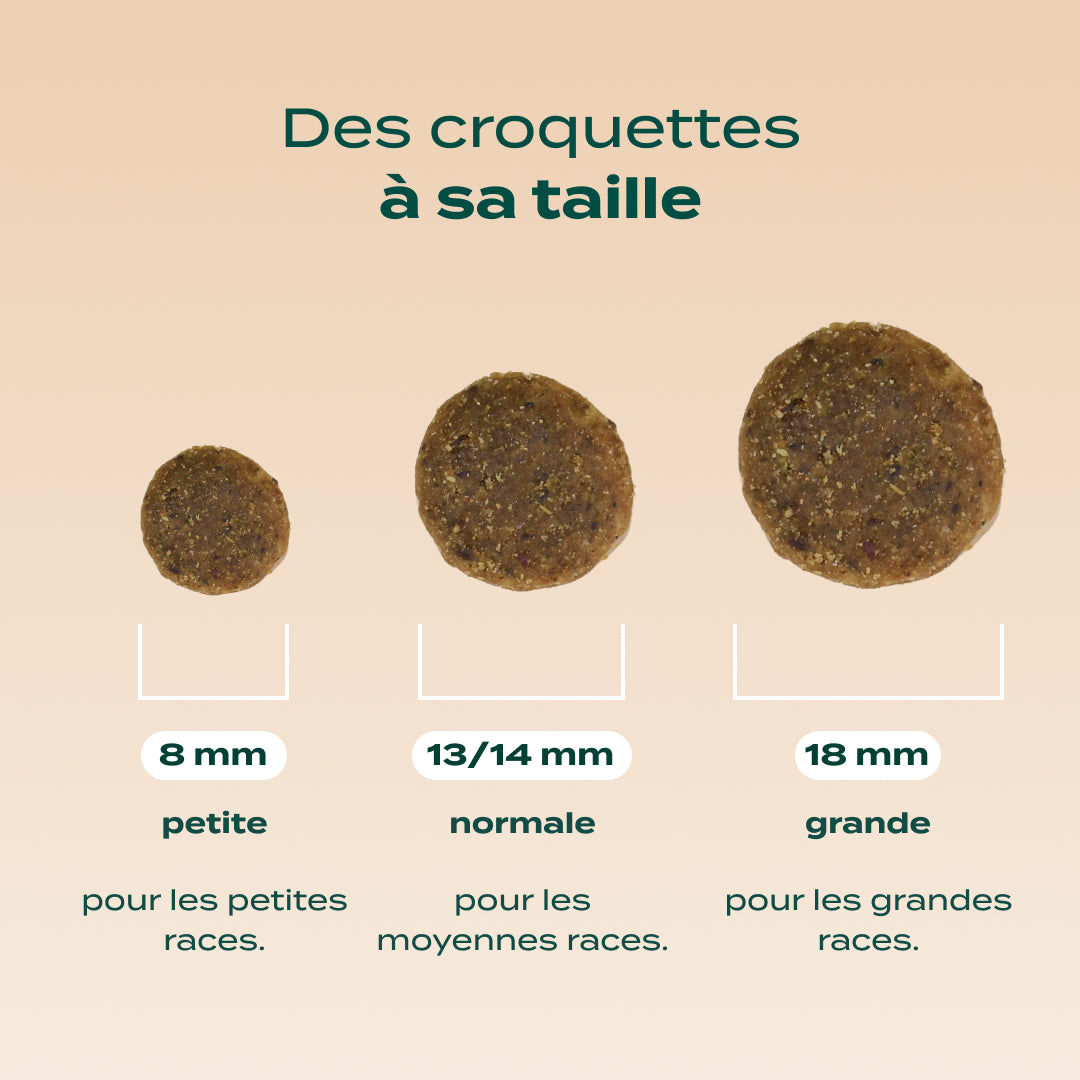 CANARD, POMME, CAROTTE