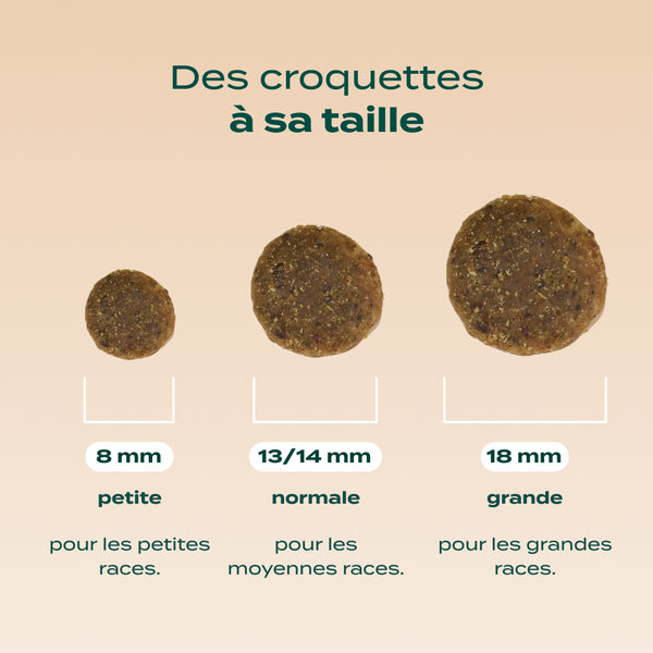 canard-pomme-carotte