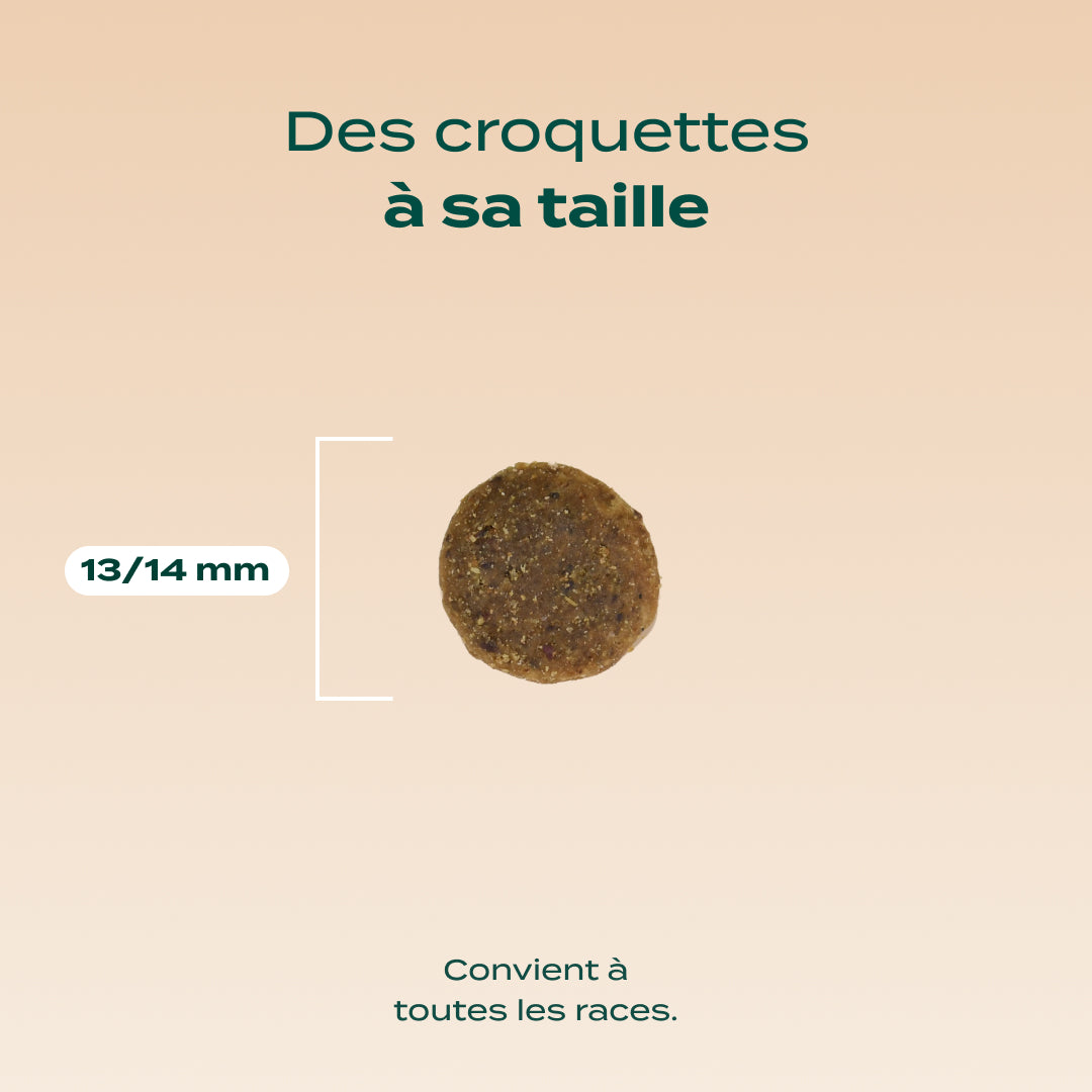 DINDE, SAUMON, VALÉRIANE