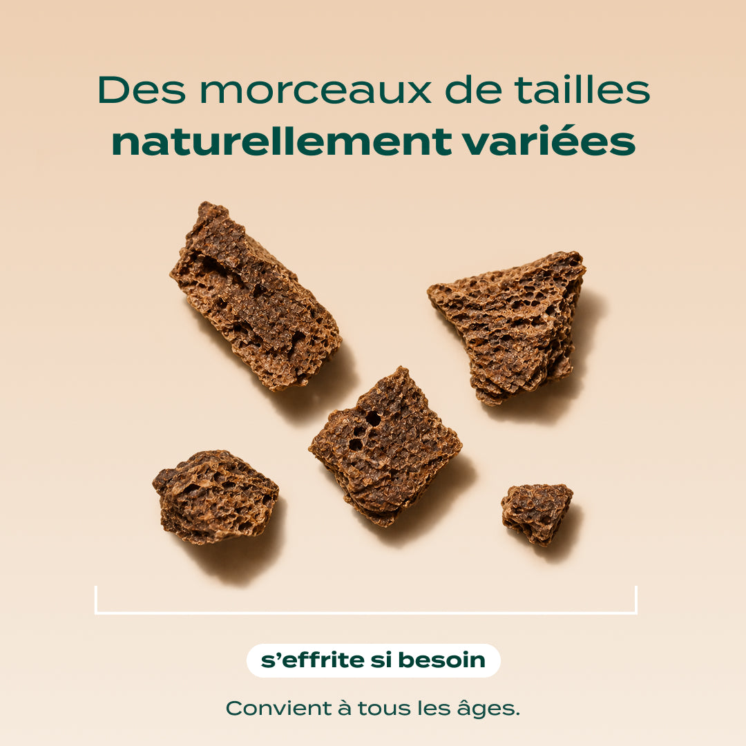 SNACK FOIE DE BŒUF