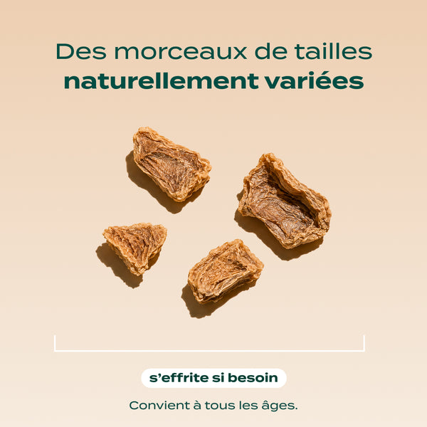 snack-gesier-de-poulet