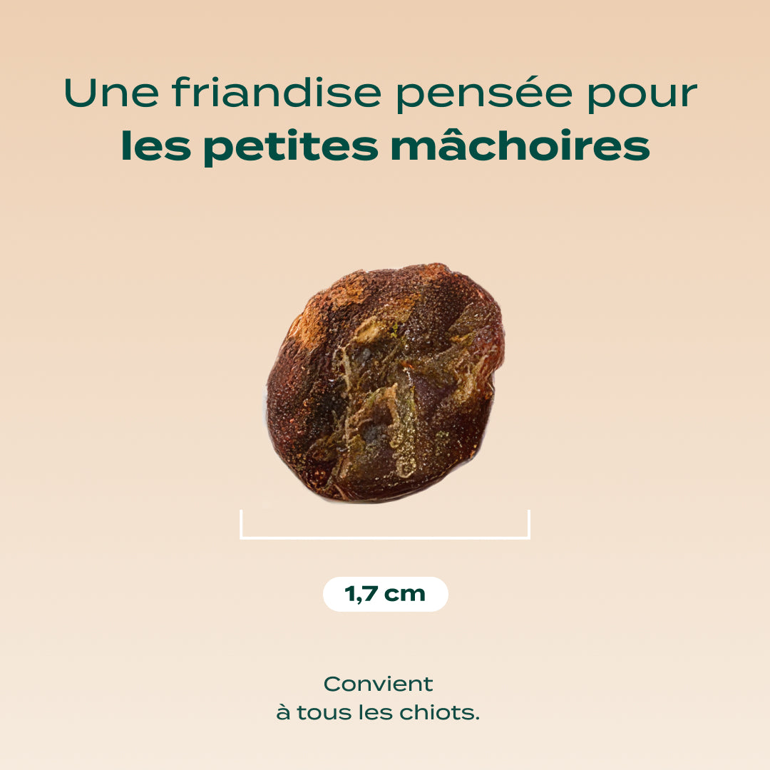 Mini viande séchée boeuf