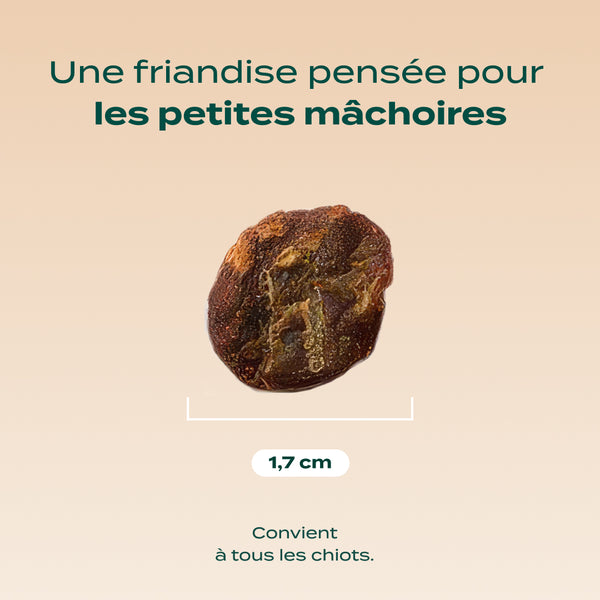 mini-viande-sechee-boeuf