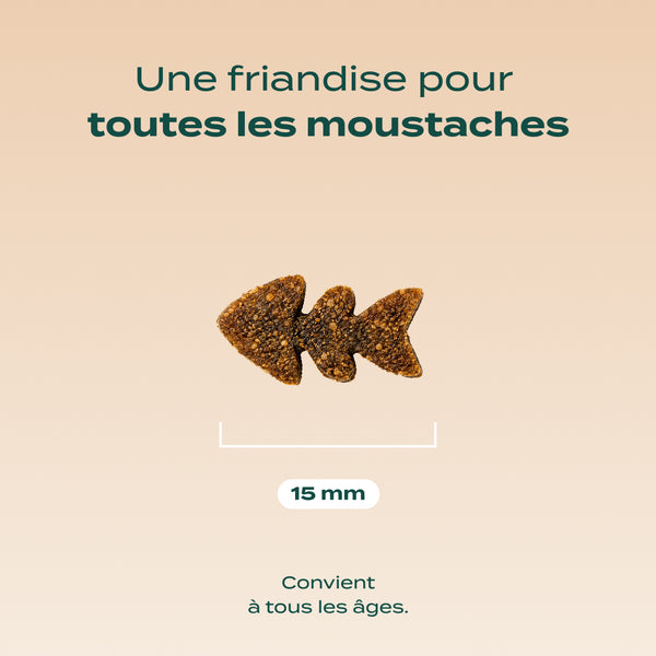 bouchees-ensorcelees-saumon-citrouille