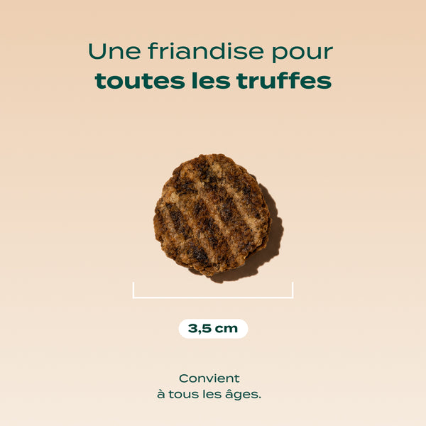 boeuf-seche-barbecue