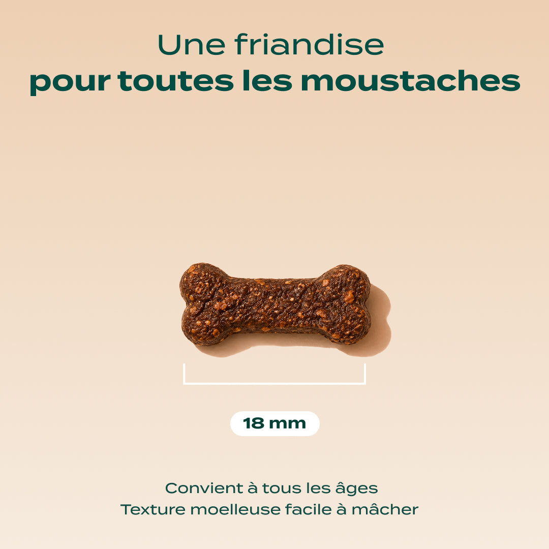 MINI SNACK URINAIRE