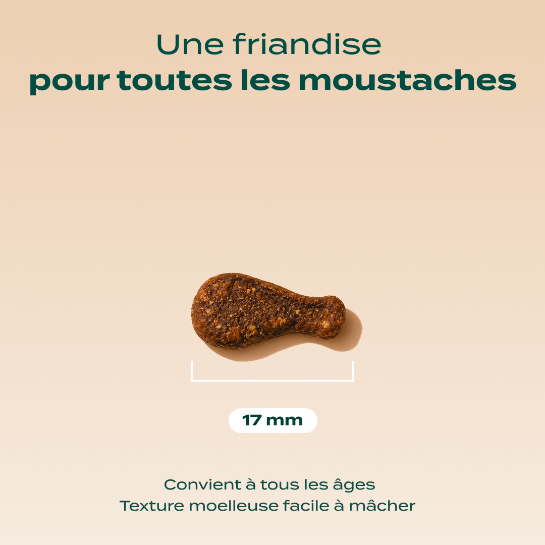 MINI BOUCHÉES POULET