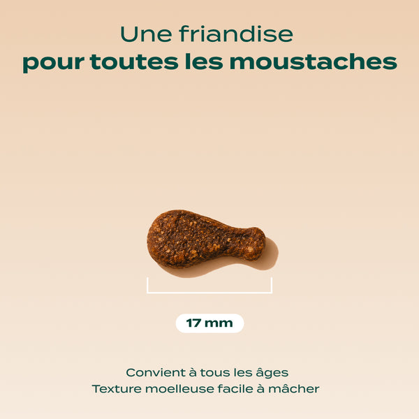 mini-bouchees-poulet