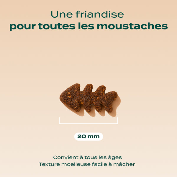 mini-snack-digestion