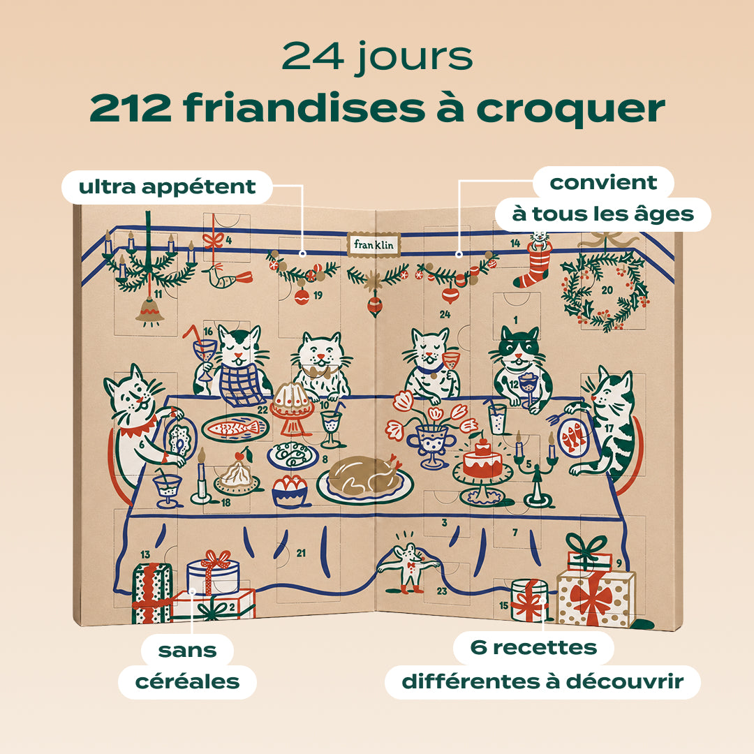CALENDRIER DE L'AVENT