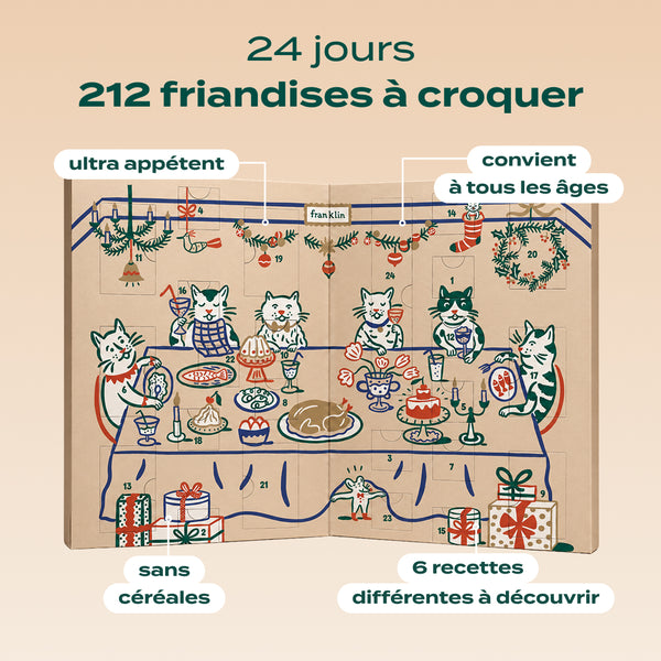 calendrier-de-l-39-avent