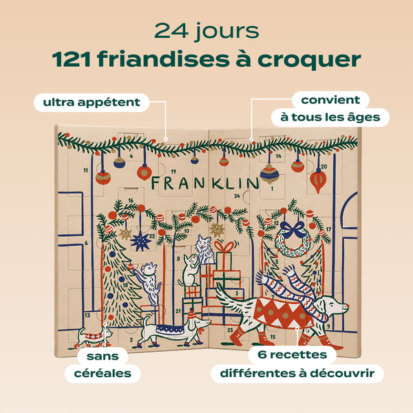 calendrier-de-l-39-avent-chien