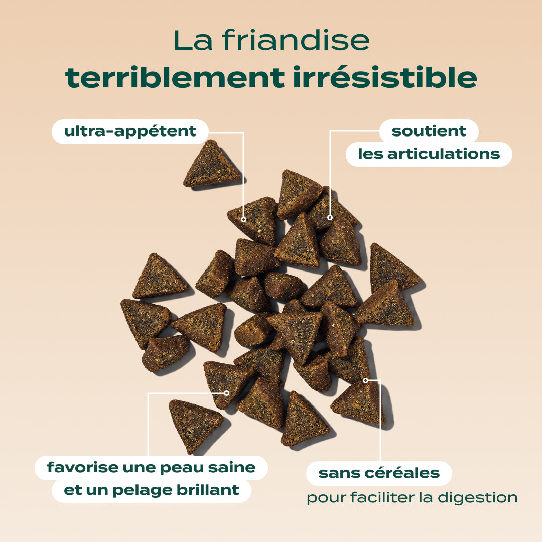 BOUCHÉES ENSORCELÉES SAUMON, CITROUILLE