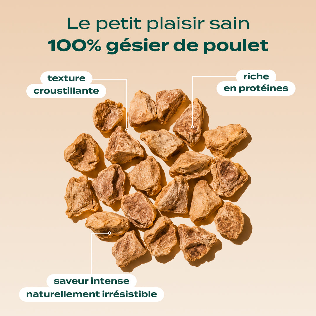 SNACK GÉSIER DE POULET