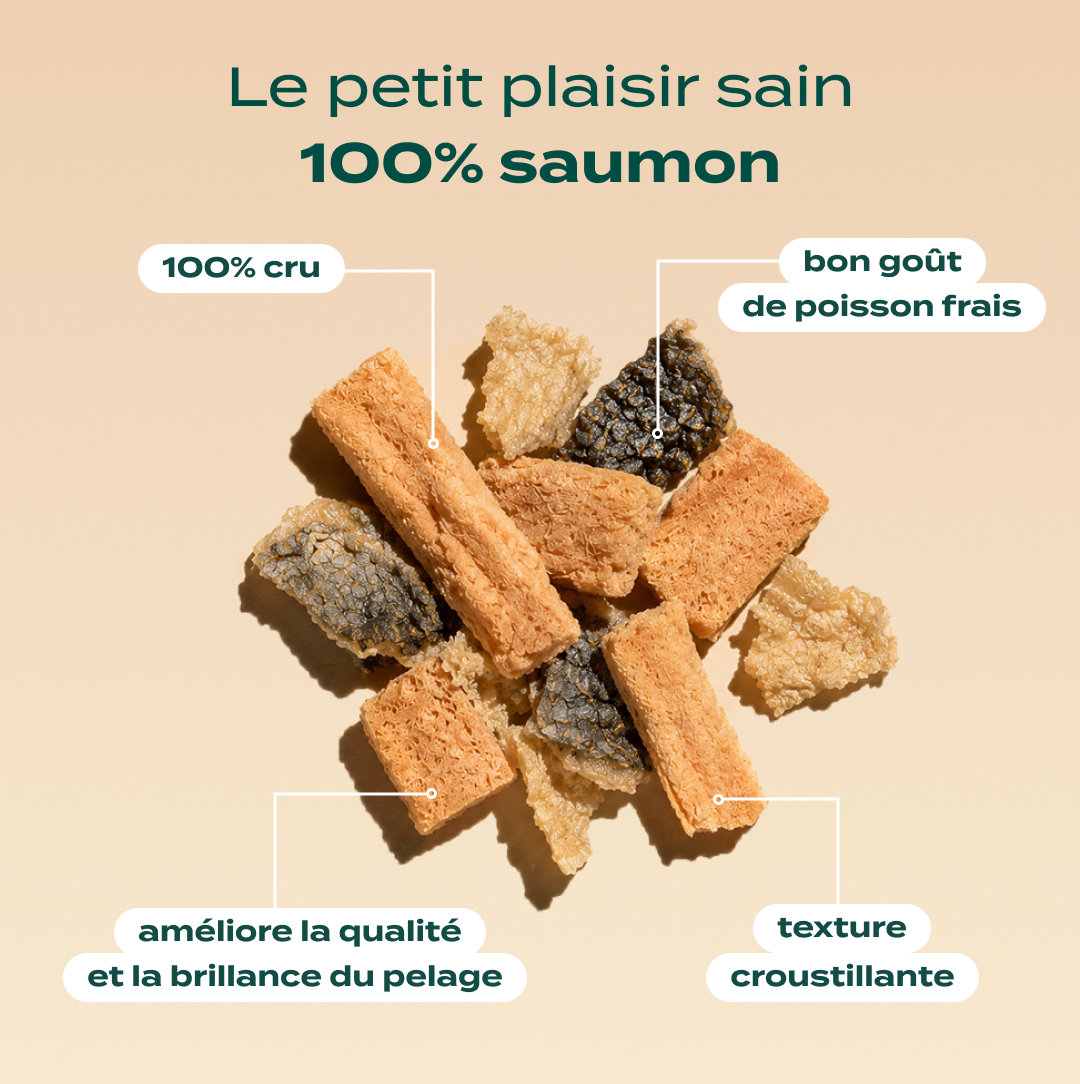 SNACK SAUMON