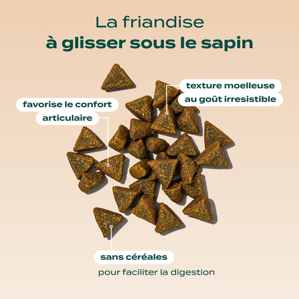 noel-gourmand-dinde-cheddar