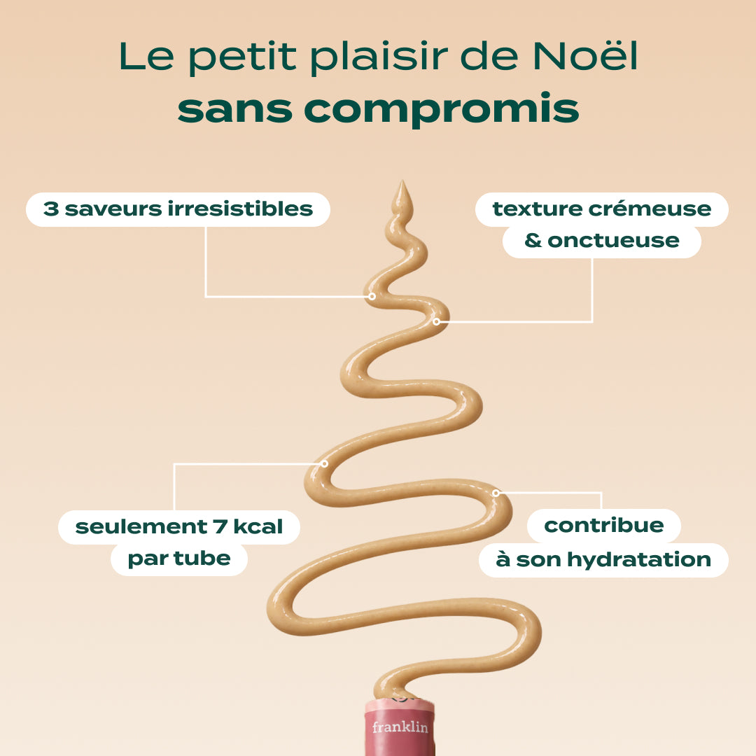 MULTIPACK MINI TUBES DÉLICES DE NOËL