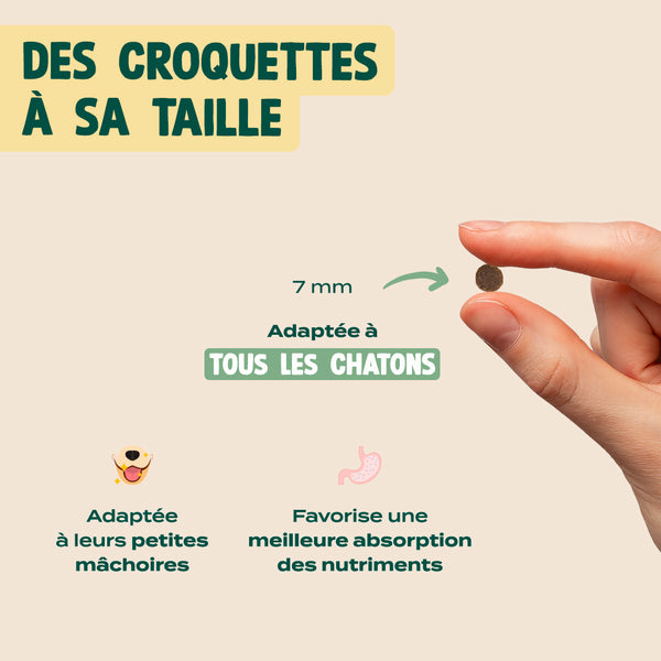 poulet-saumon-carotte