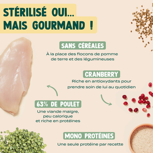 poulet-courge-cranberry