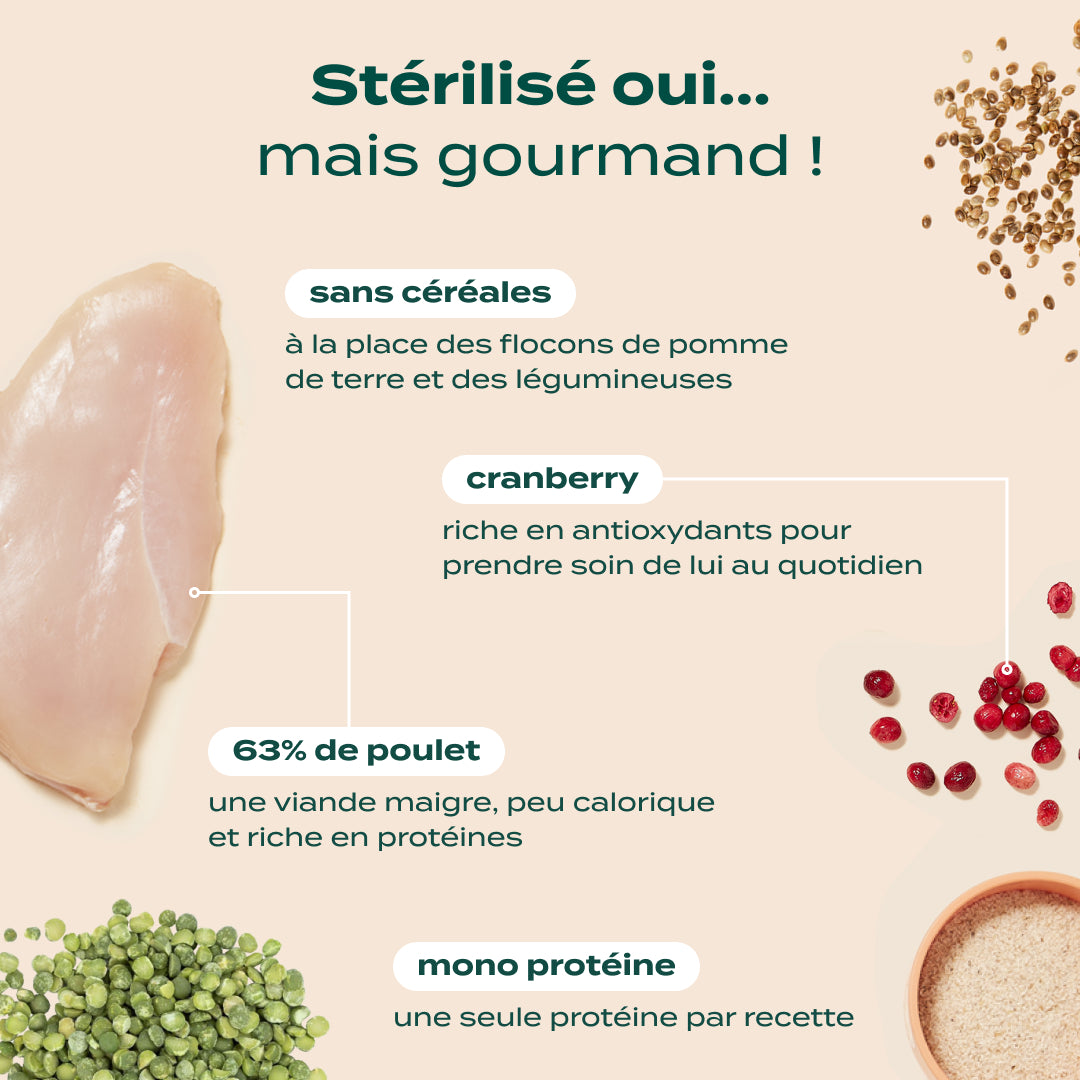 POULET, COURGE, CRANBERRY