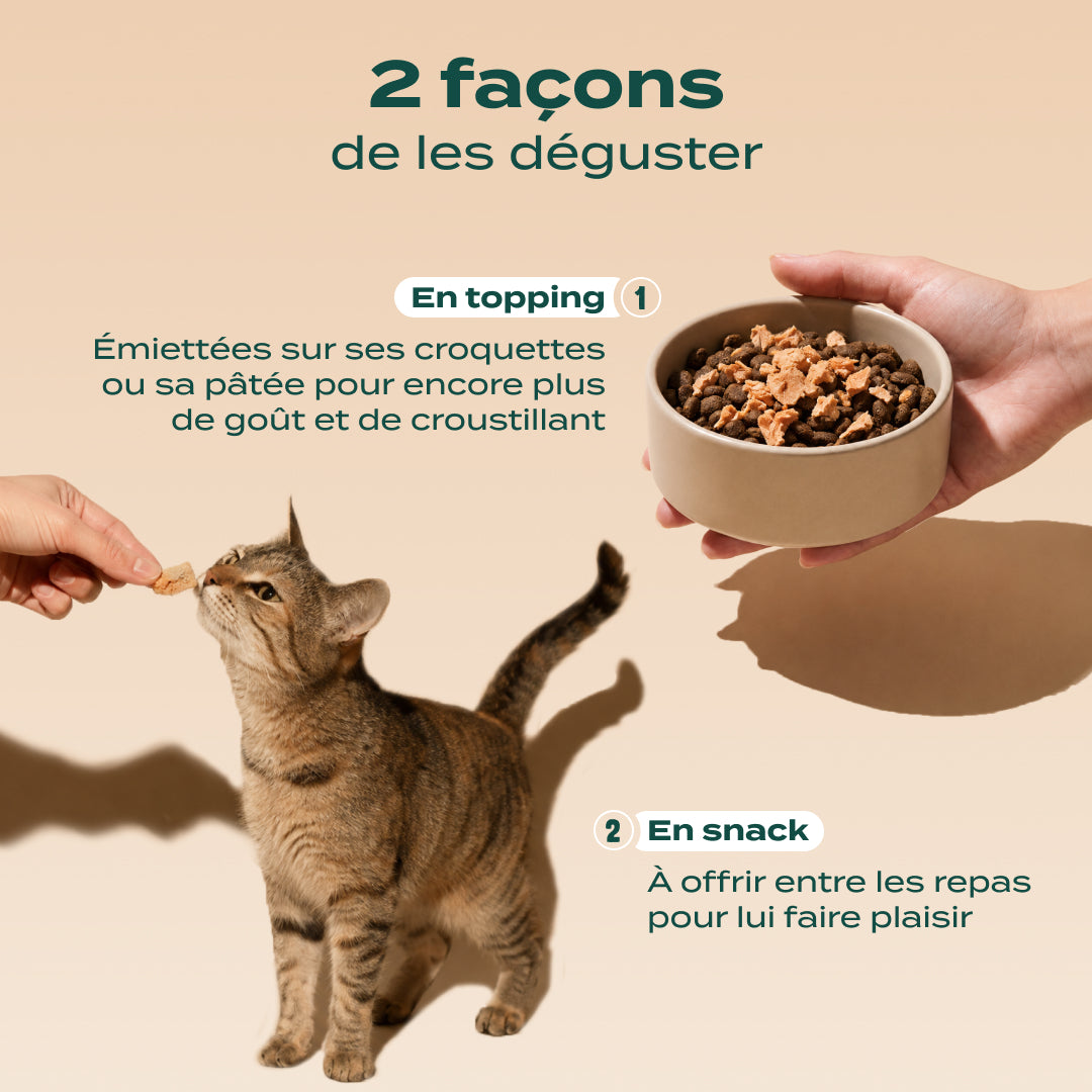 SNACK SAUMON