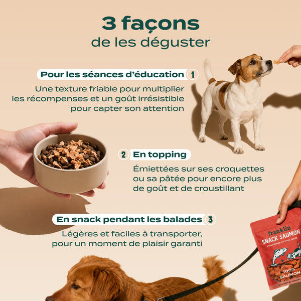 snack-saumon