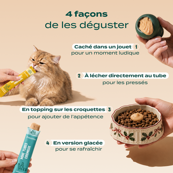 multipack-mini-tubes-delices-de-noel