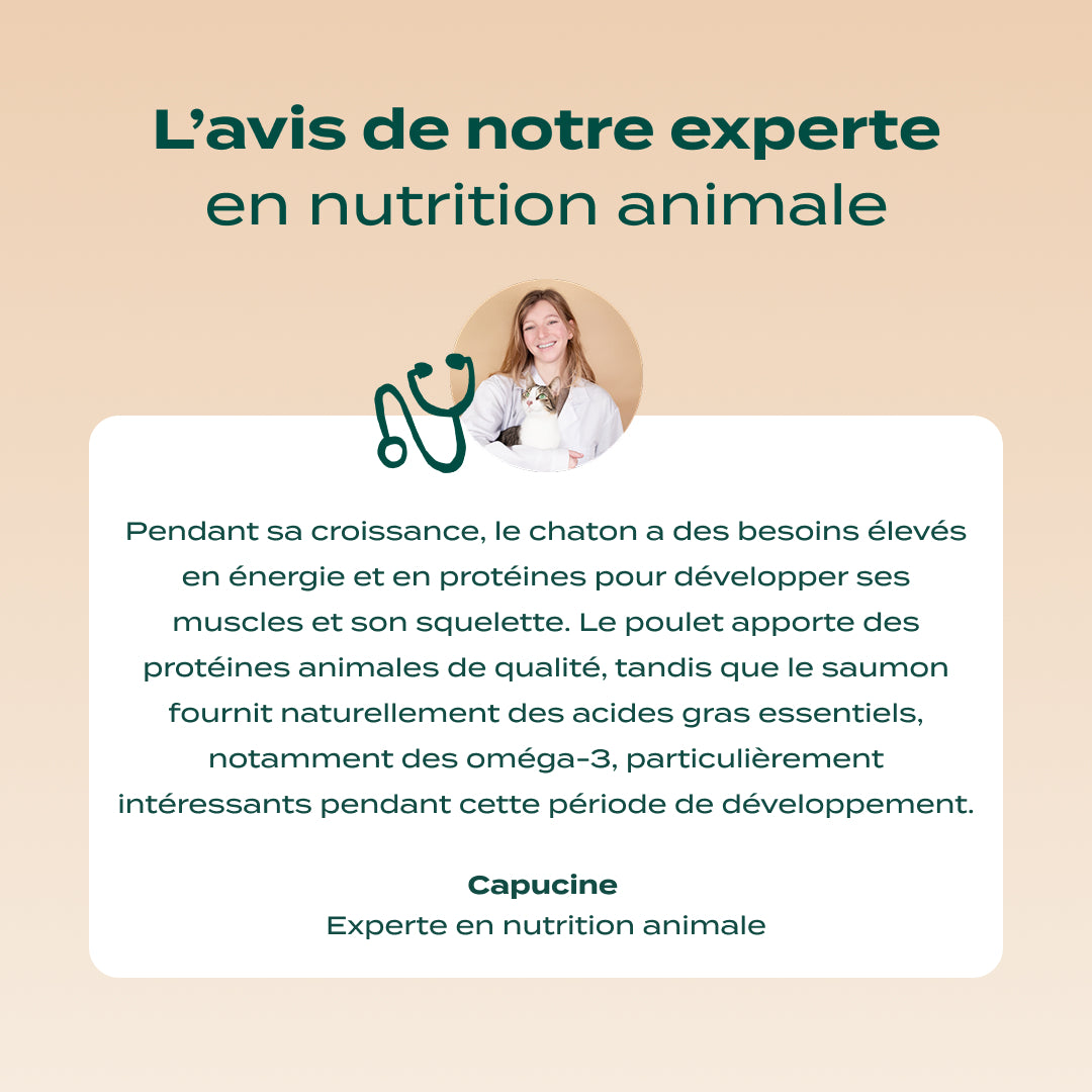 POULET, SAUMON, CAROTTE