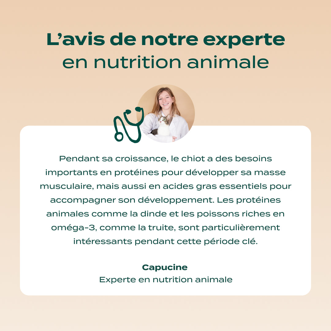POULET, SAUMON, FENOUIL