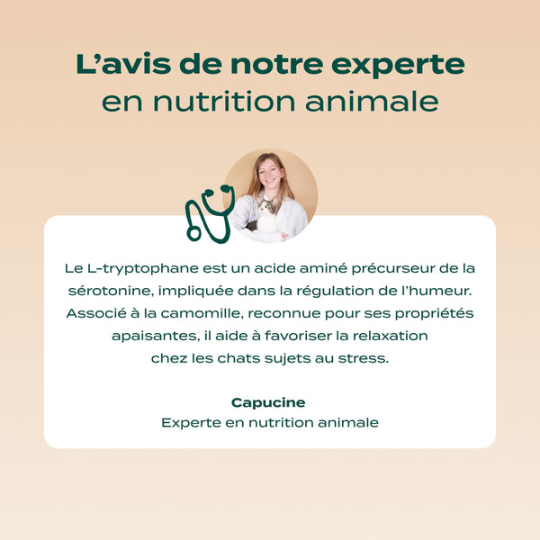 mini-tubes-poulet-camomille