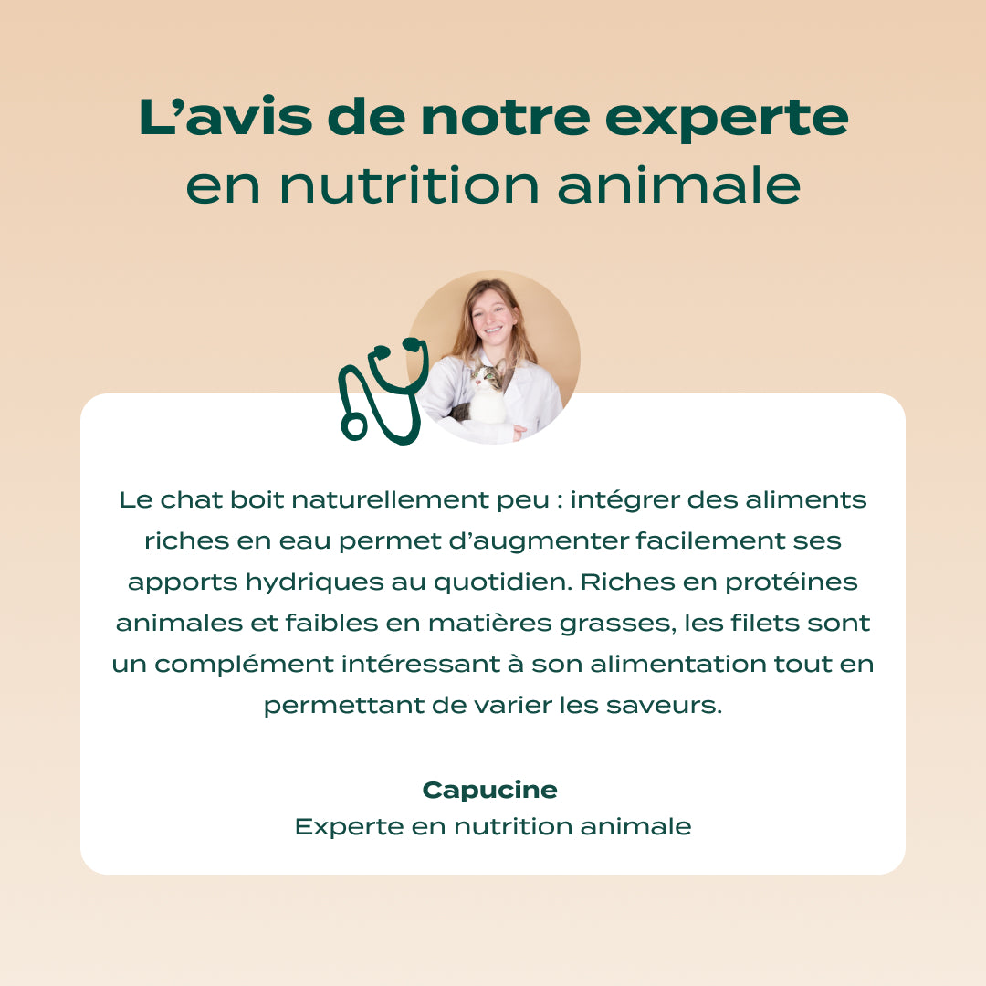 MULTIPACK FILETS 6 SAVEURS