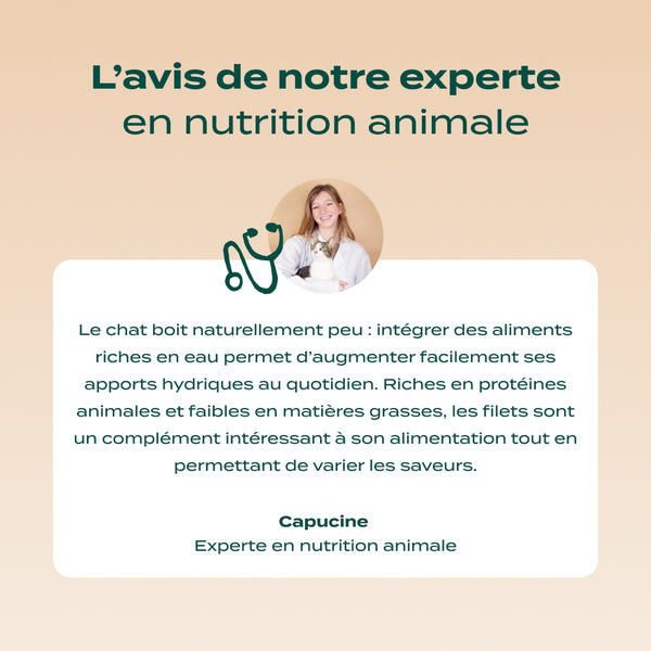 multipack-filets-6-saveurs