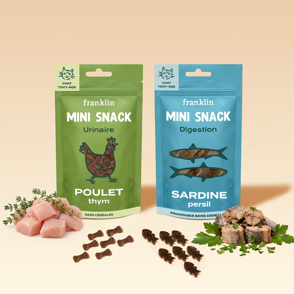 duo-mini-snack