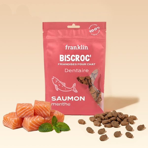 friandise-dentaire-saumon-cadeau-abonne