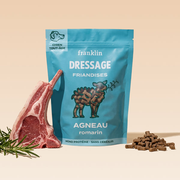dressage-agneau