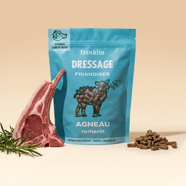 Dressage agneau
