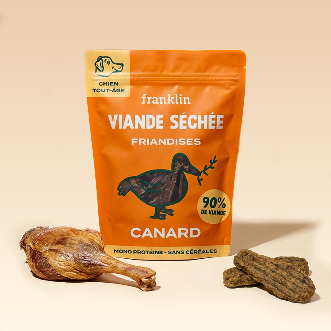 CANARD SÉCHÉ