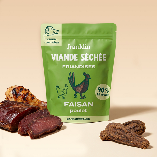 FAISAN SÉCHÉ