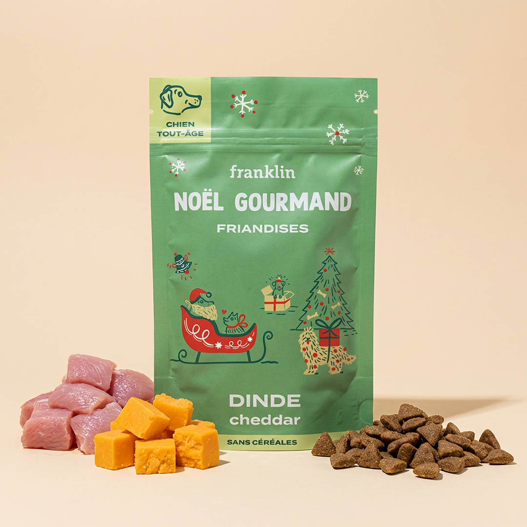 NOËL GOURMAND - DINDE, CHEDDAR