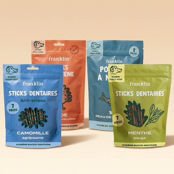 pack-sticks-dentaires