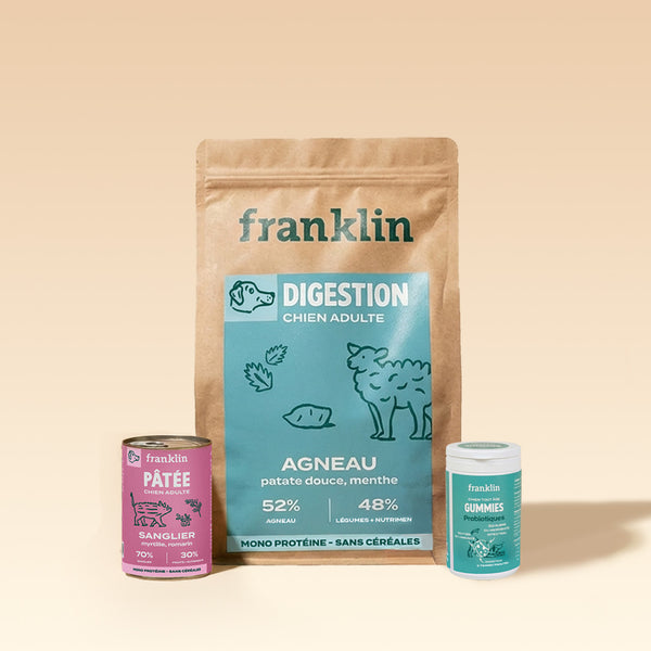pack-digestion-chien