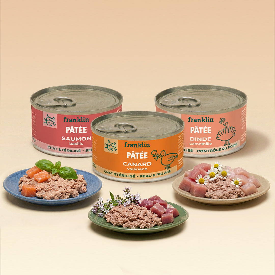 TRIO DÉCOUVERTE PÂTÉES CHAT