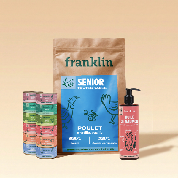 pack-chat-senior