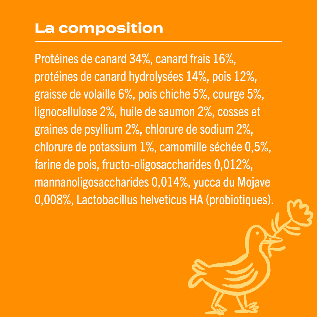 CANARD, COURGE, CAMOMILLE